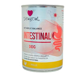 Disugual Intestinal Perro