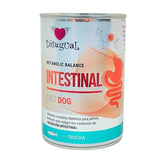 Disugual Intestinal Perro