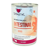 Disugual Intestinal Perro